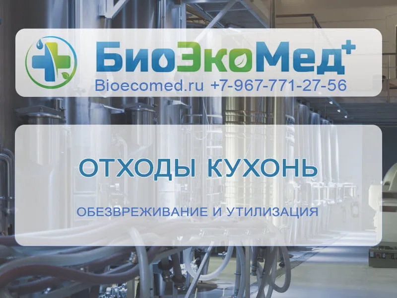 Отходы кухонь